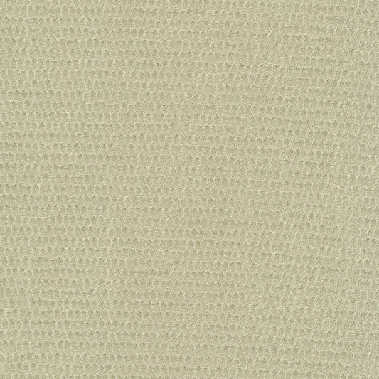 Rubelli Filigrana fabric - Avorio