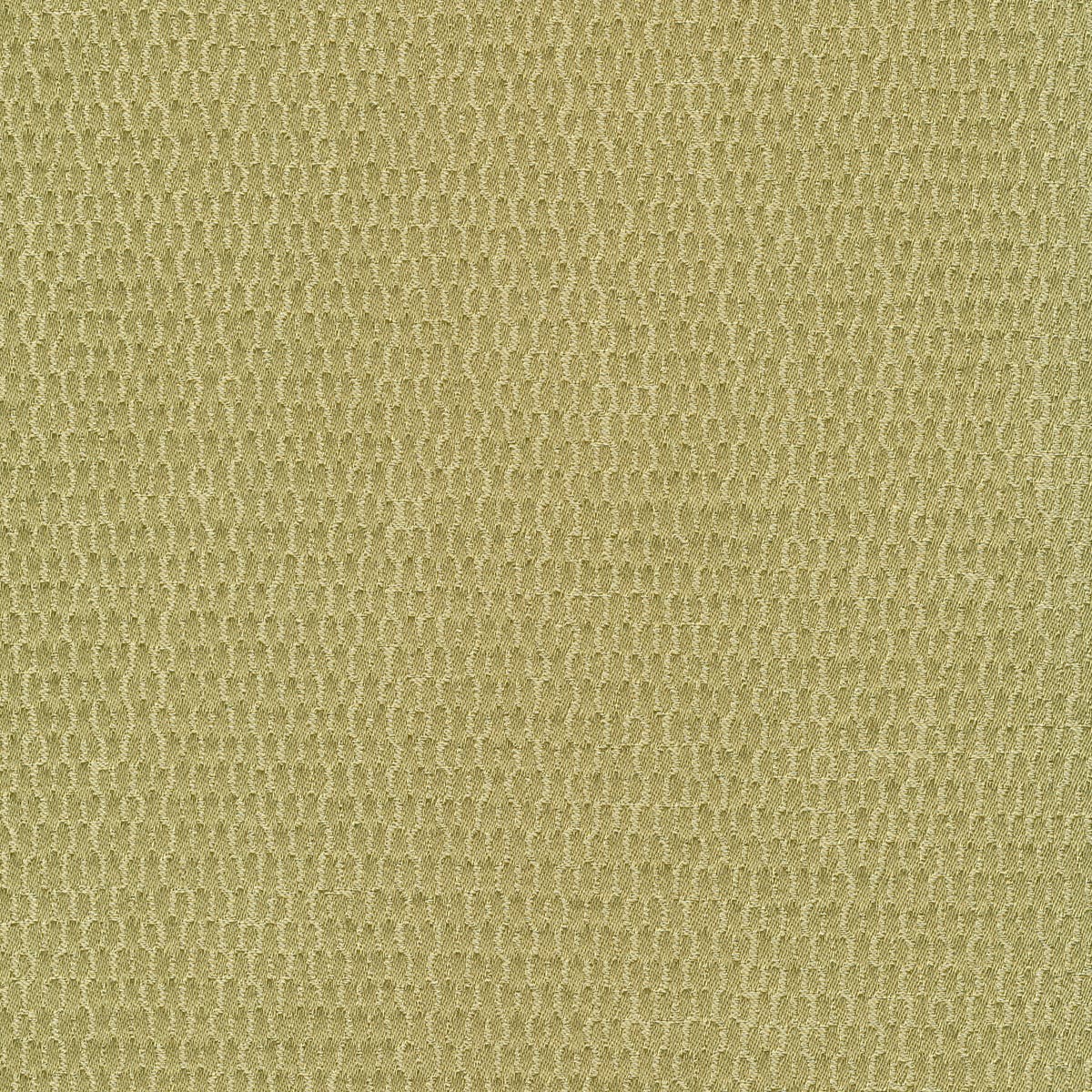 Rubelli Filigrana fabric - Tiglio