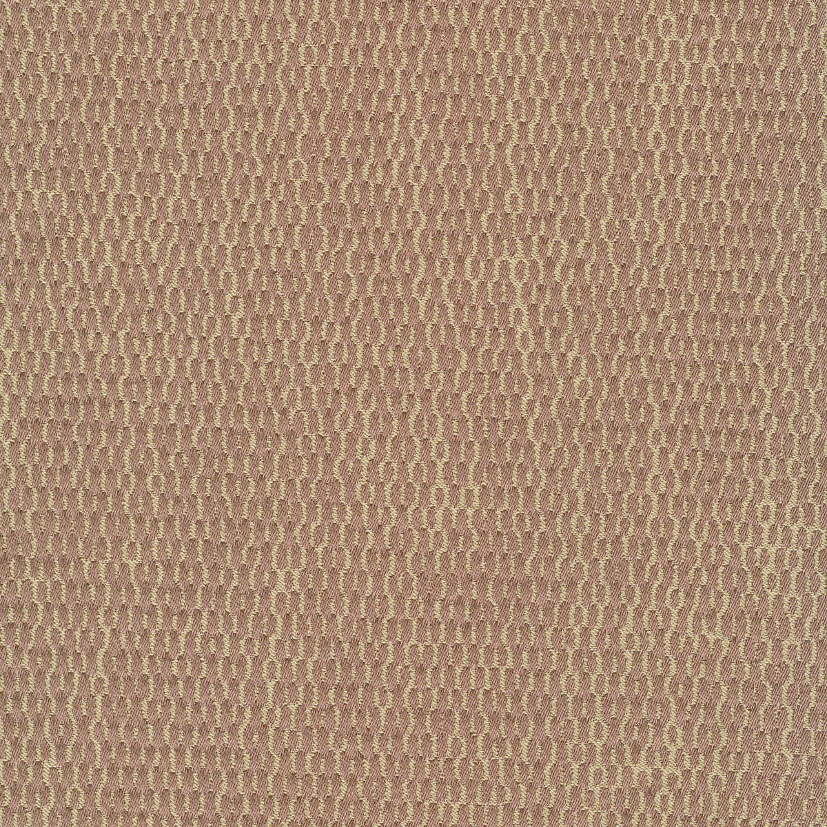 Rubelli Filigrana fabric - Pesco