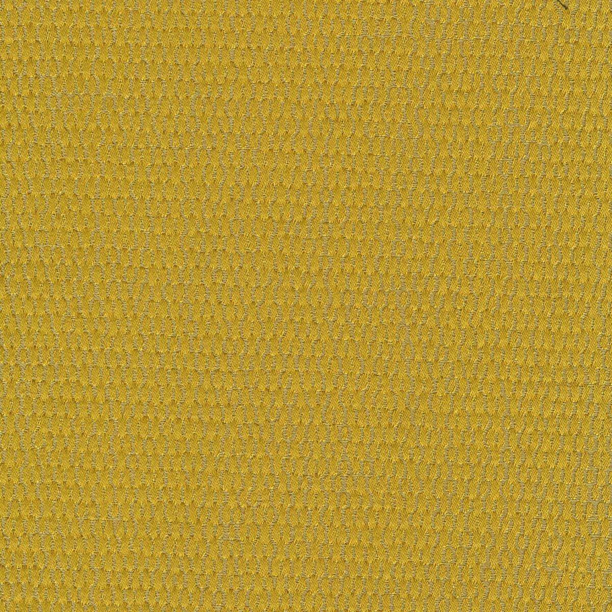 Rubelli Filigrana fabric - Oro