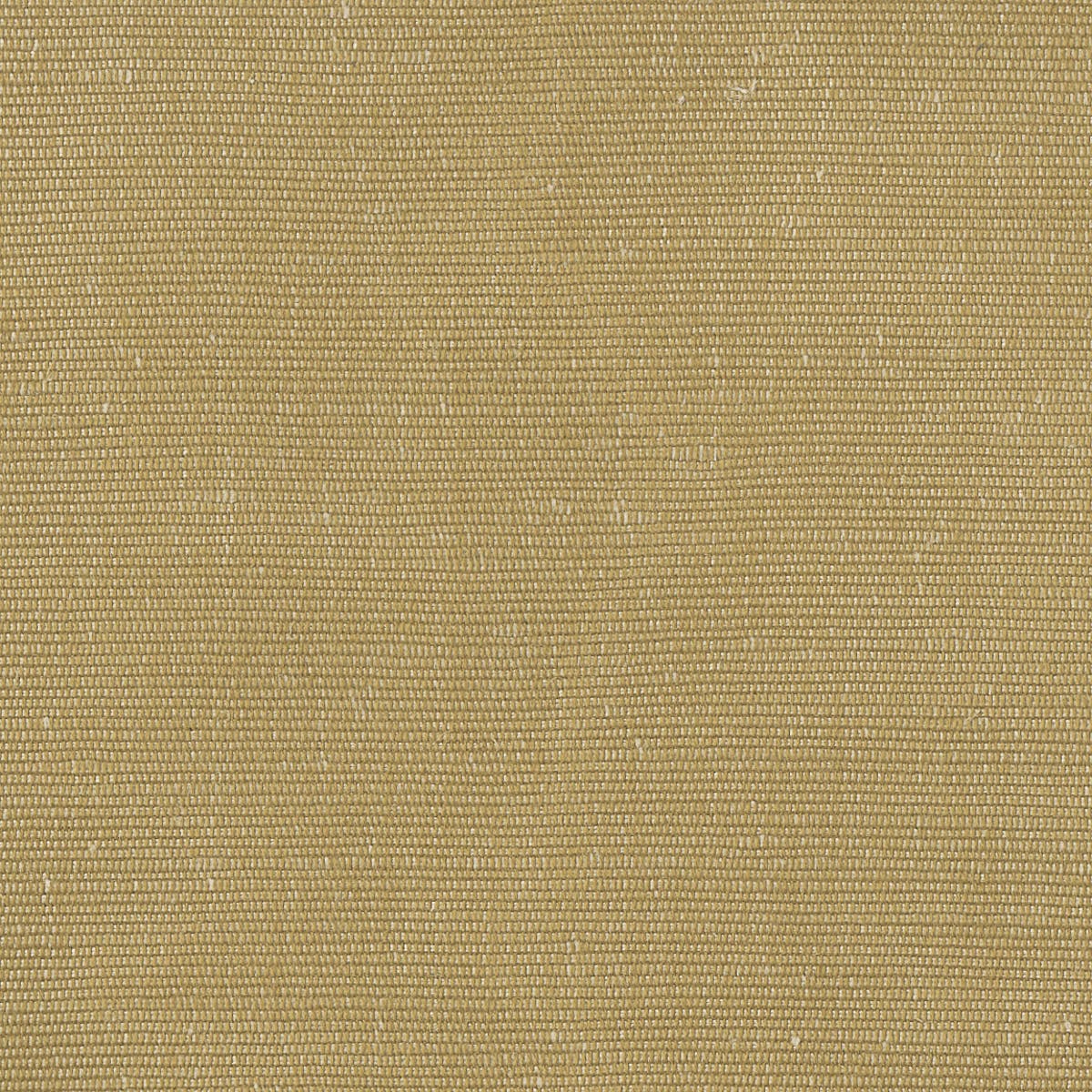 Rubelli Carlo fabric - Paglia