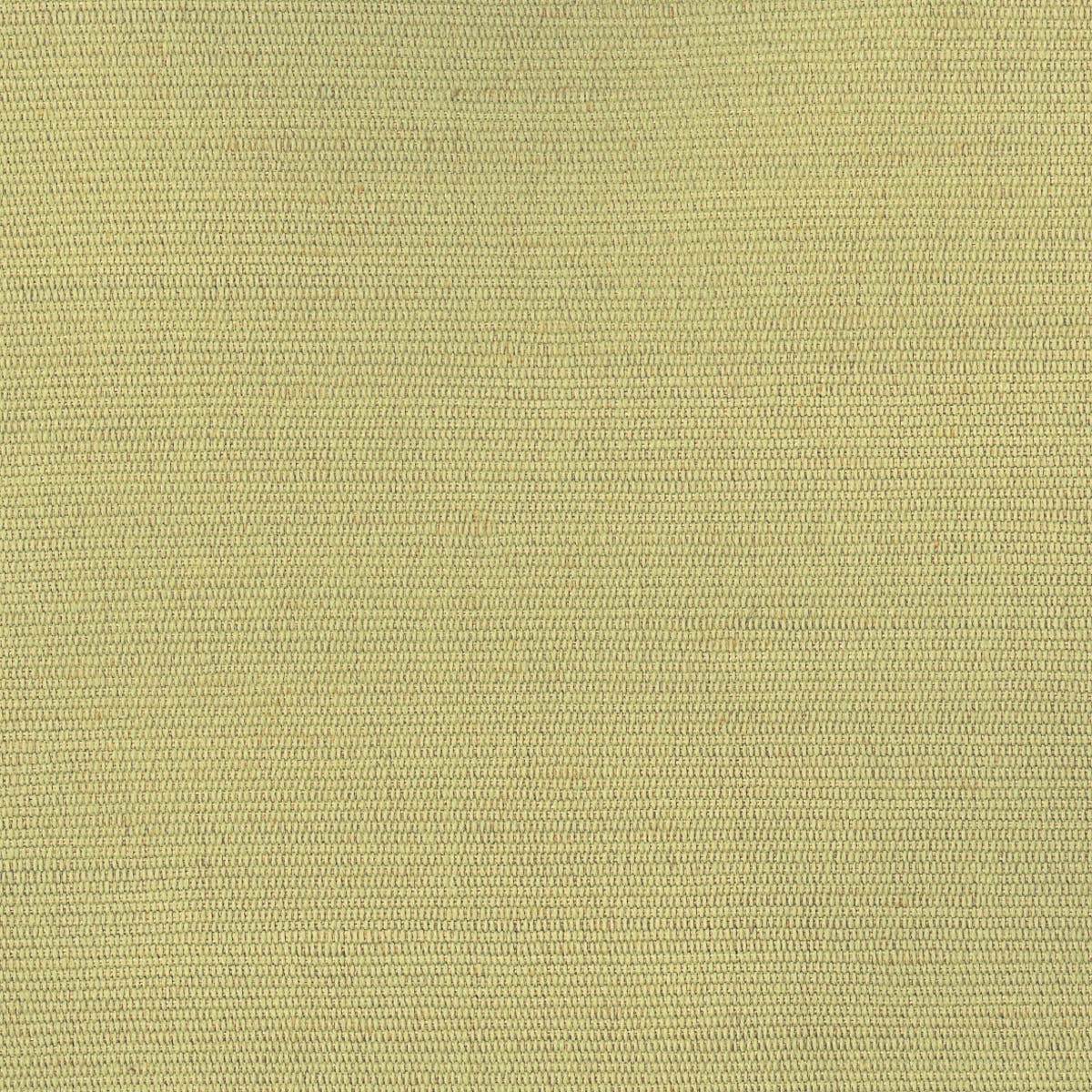 Rubelli Carlo fabric - Giallo napoli