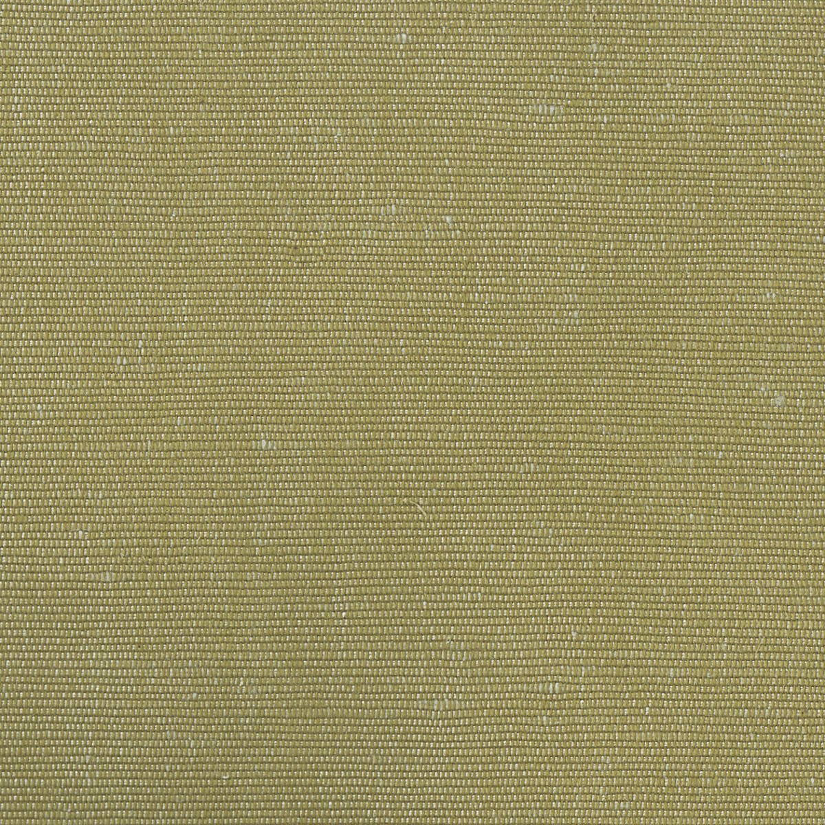 Rubelli Carlo fabric - Oliva