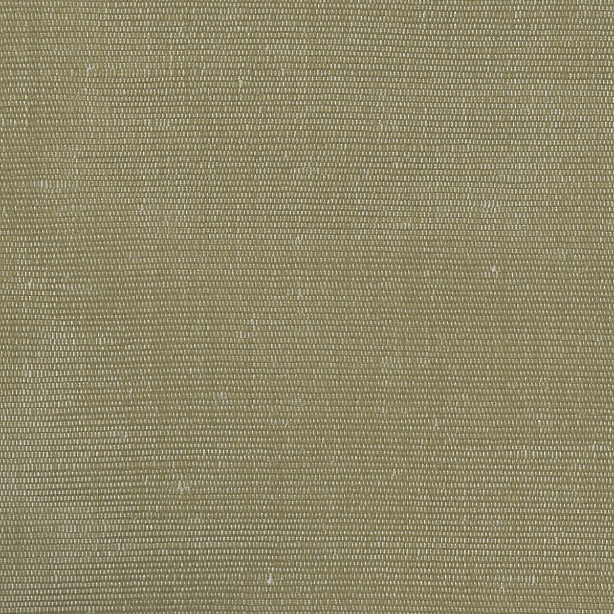 Rubelli Carlo fabric - Kaki