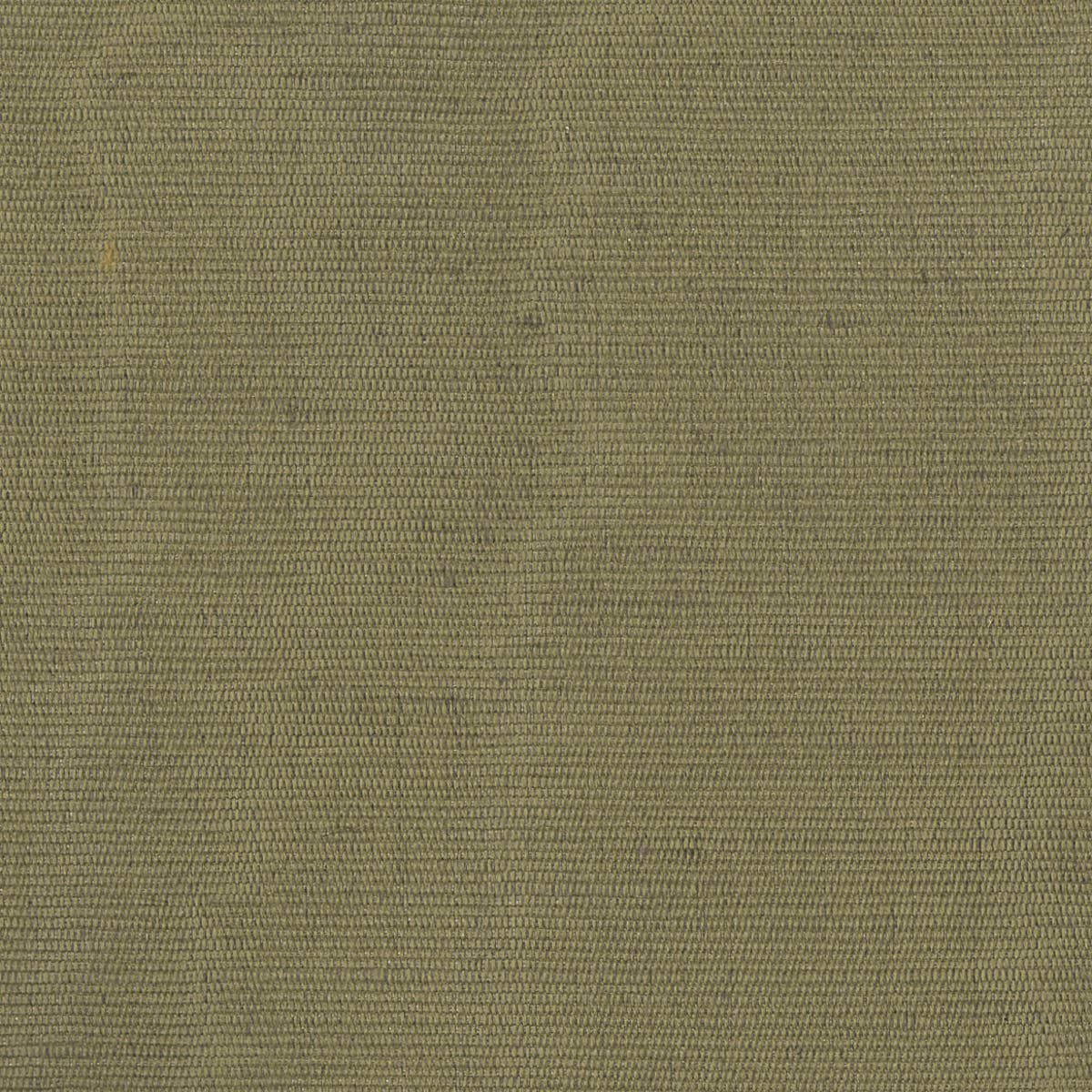 Rubelli Carlo fabric - Muschio