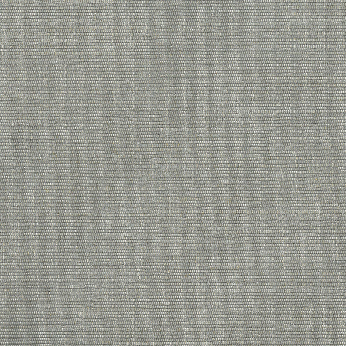 Rubelli Carlo fabric - Argento