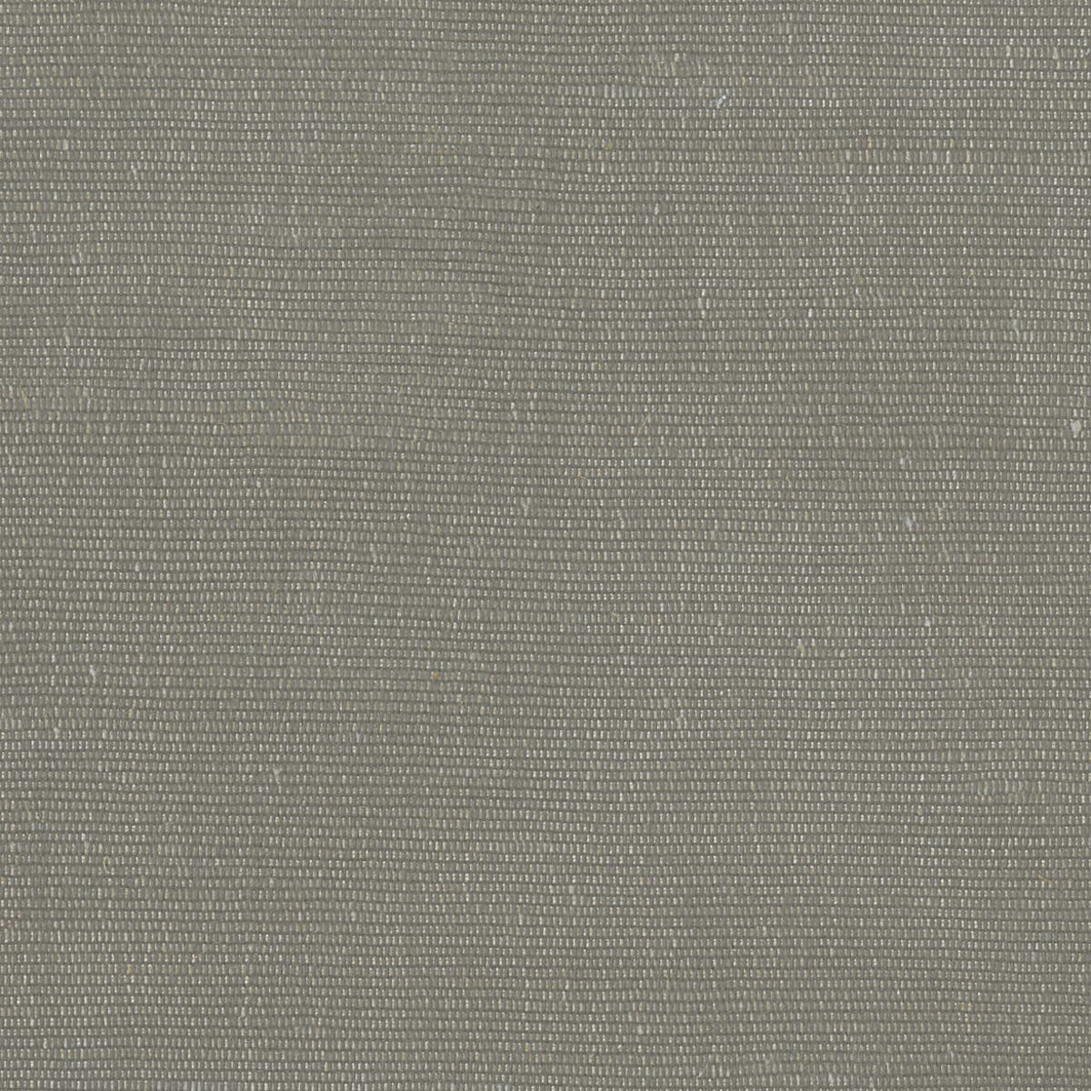 Rubelli Carlo fabric - Conchiglia