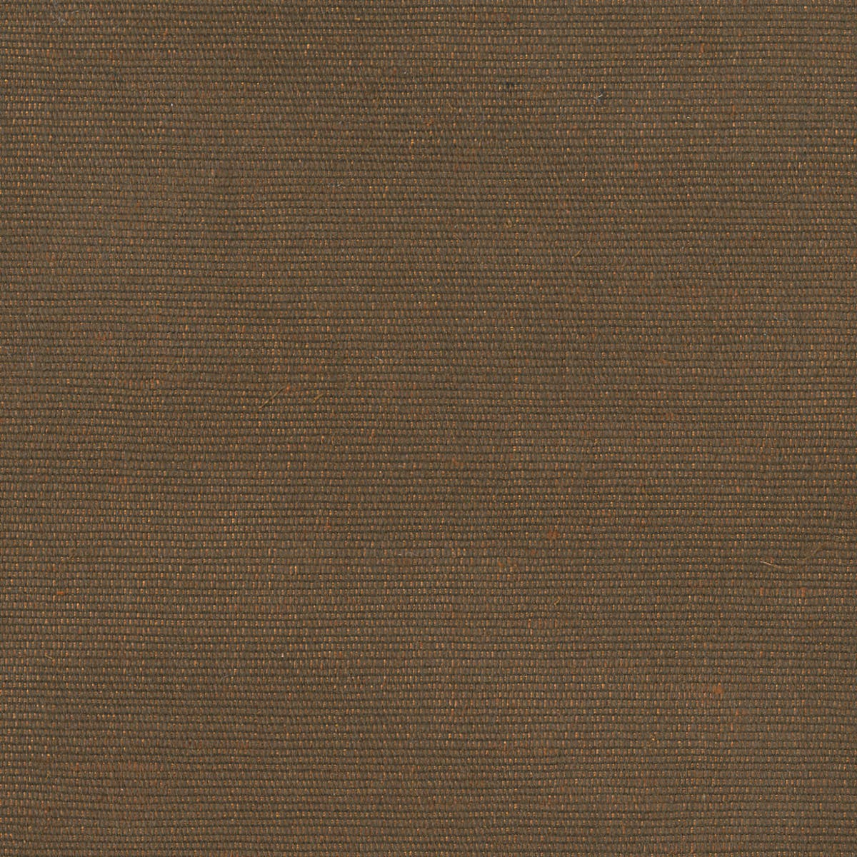 Rubelli Carlo fabric - Castagna