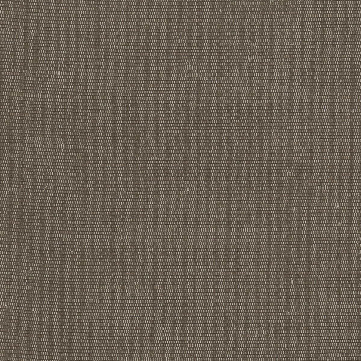 Rubelli Carlo fabric - Ombra