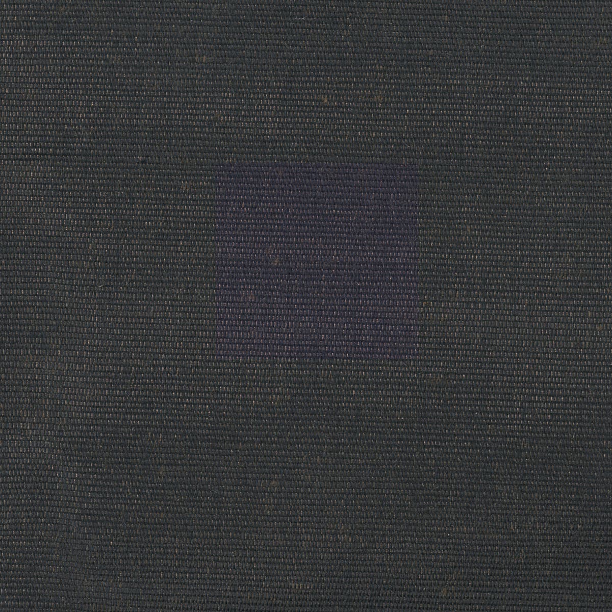 Rubelli Carlo fabric - Ebano