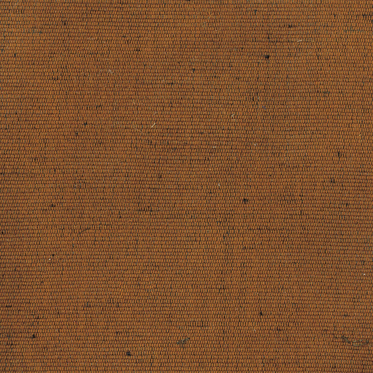 Rubelli Carlo fabric - Terra di siena
