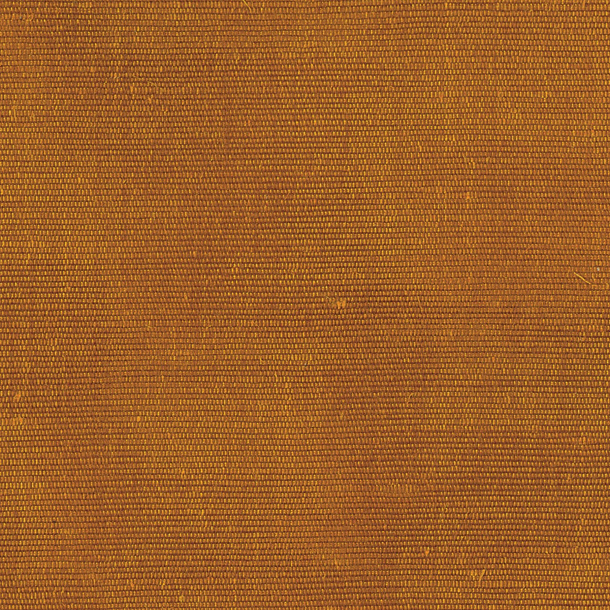 Rubelli Carlo fabric - Rame