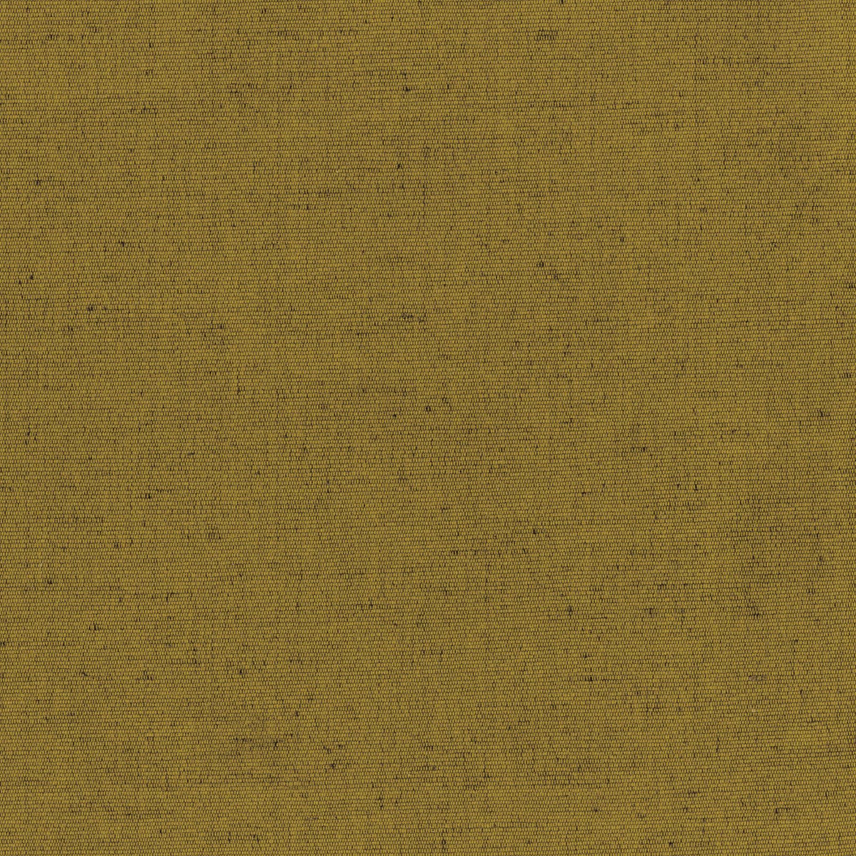 Rubelli Carlo fabric - Ossido