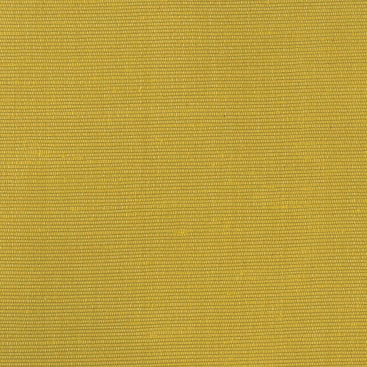 Rubelli Carlo fabric - Oro