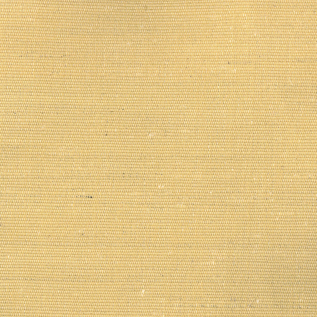 Rubelli Carlo fabric - Pulcino