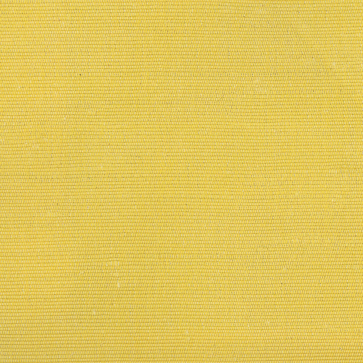 Rubelli Carlo fabric - Limone