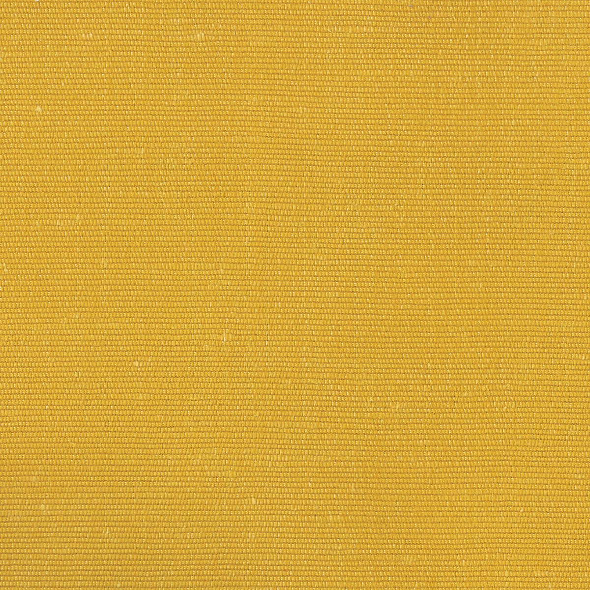 Rubelli Carlo fabric - Giallo