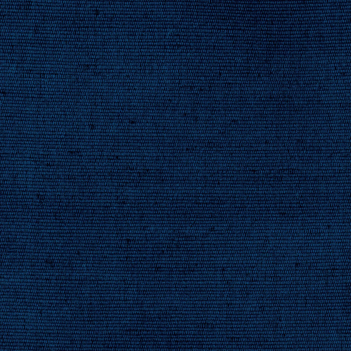 Rubelli Carlo fabric - Blu