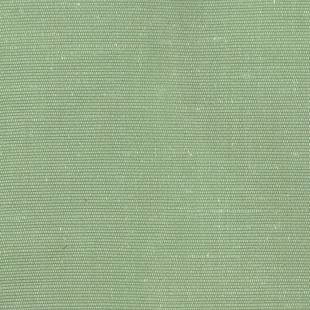Rubelli Carlo fabric - Tiglio
