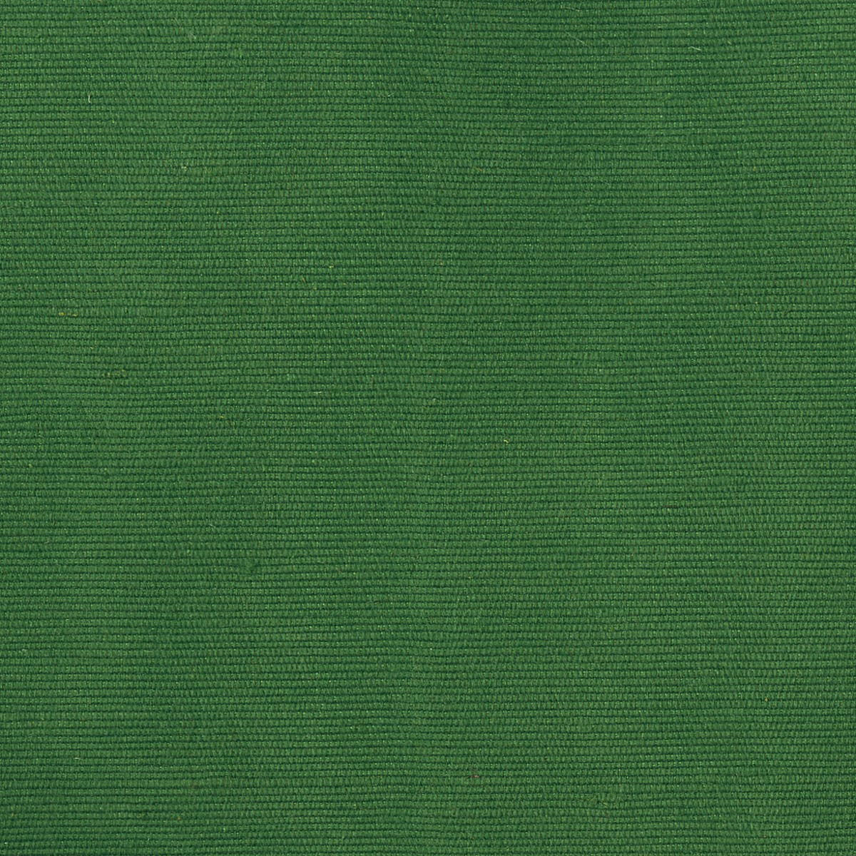 Rubelli Carlo fabric - Verde