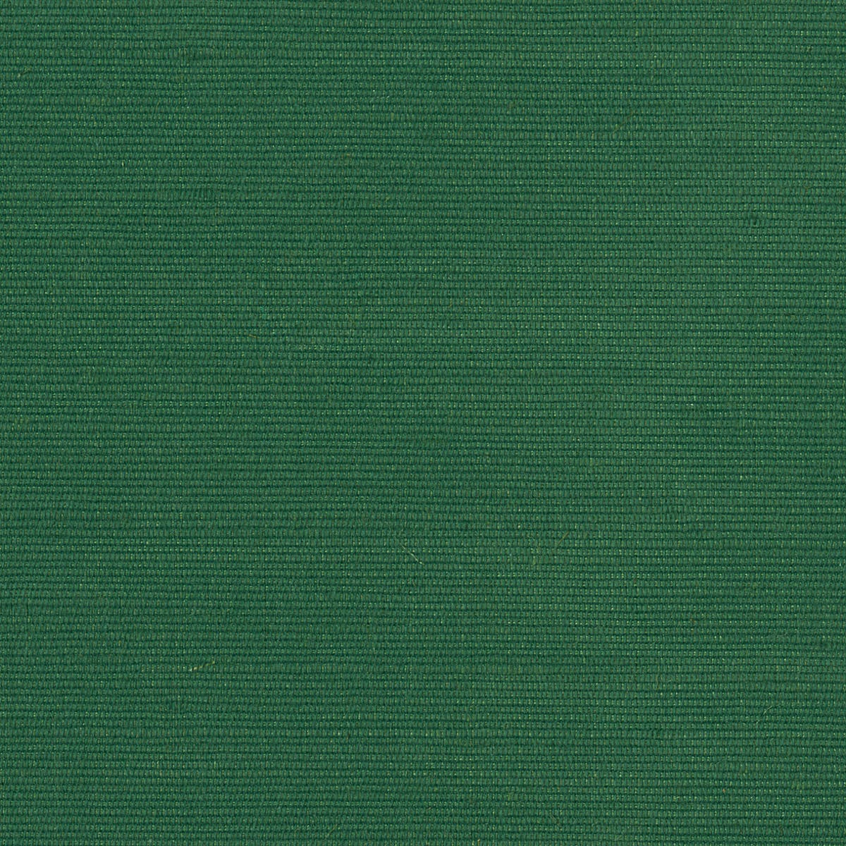 Rubelli Carlo fabric - Smeraldo
