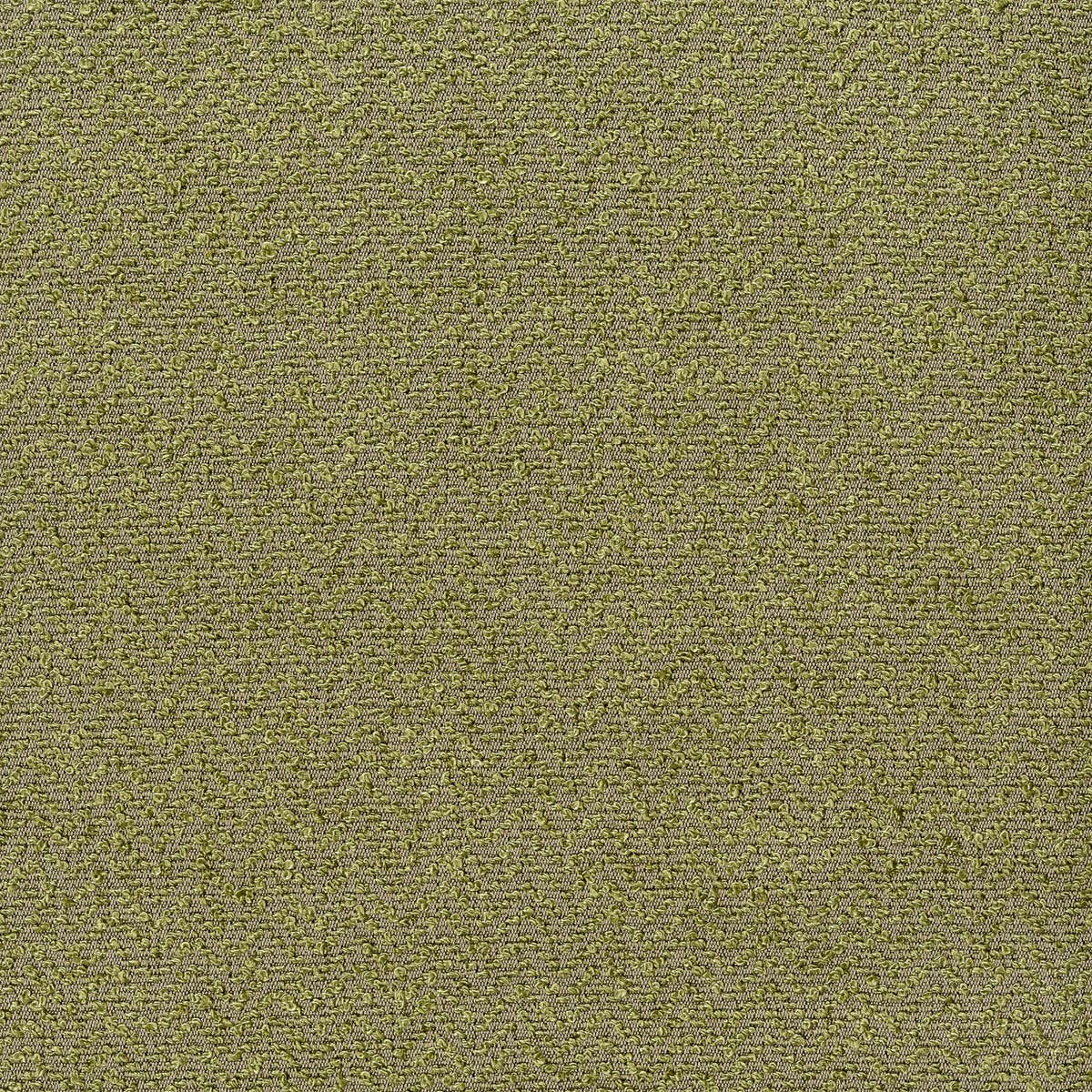 Rubelli Twill fabric - Muschio