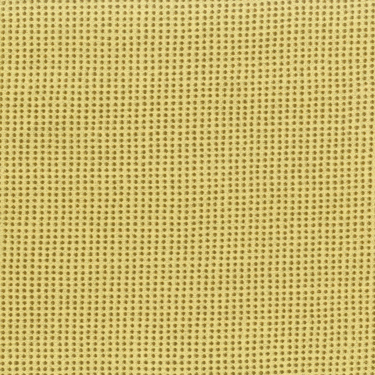 Rubelli Orion fabric - Giallo napoli