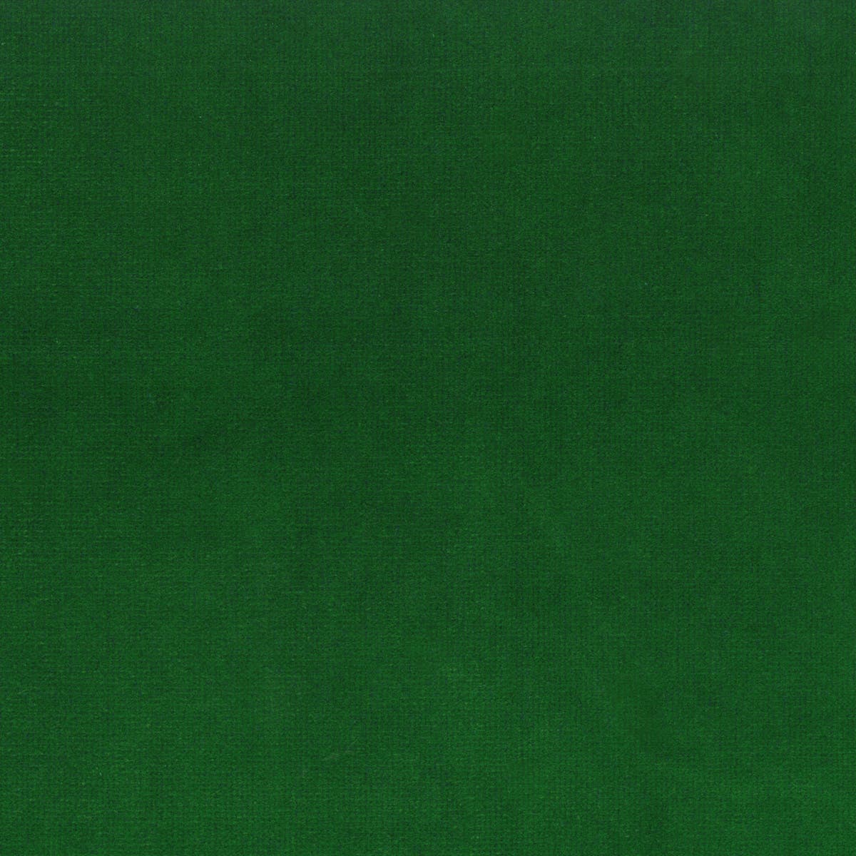 Rubelli Spritz fabric - Verde