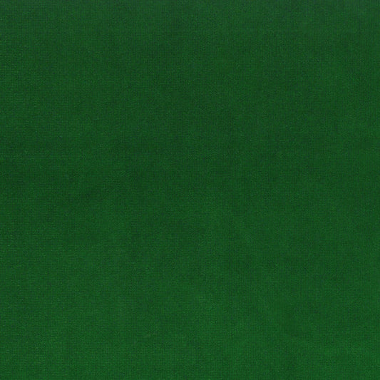 Rubelli Spritz fabric - Verde