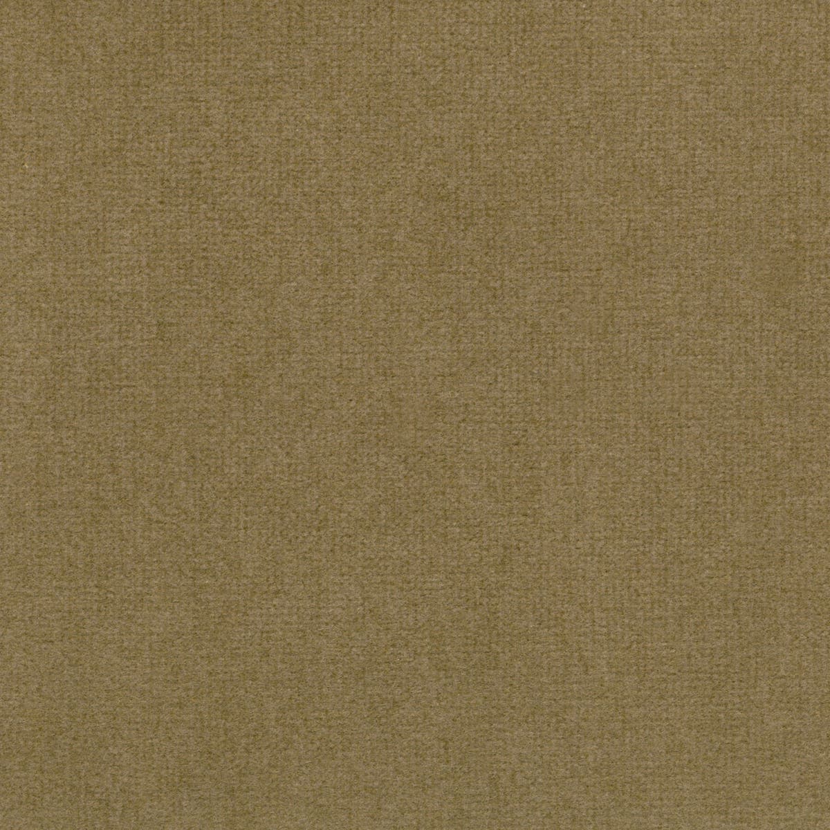 Rubelli Spritz fabric - Sabbia
