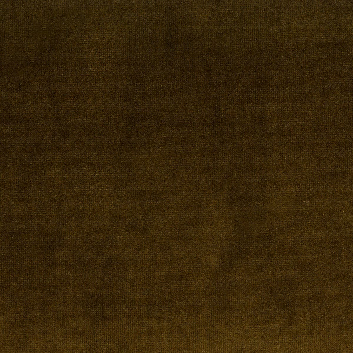 Rubelli Spritz fabric - Bronzo