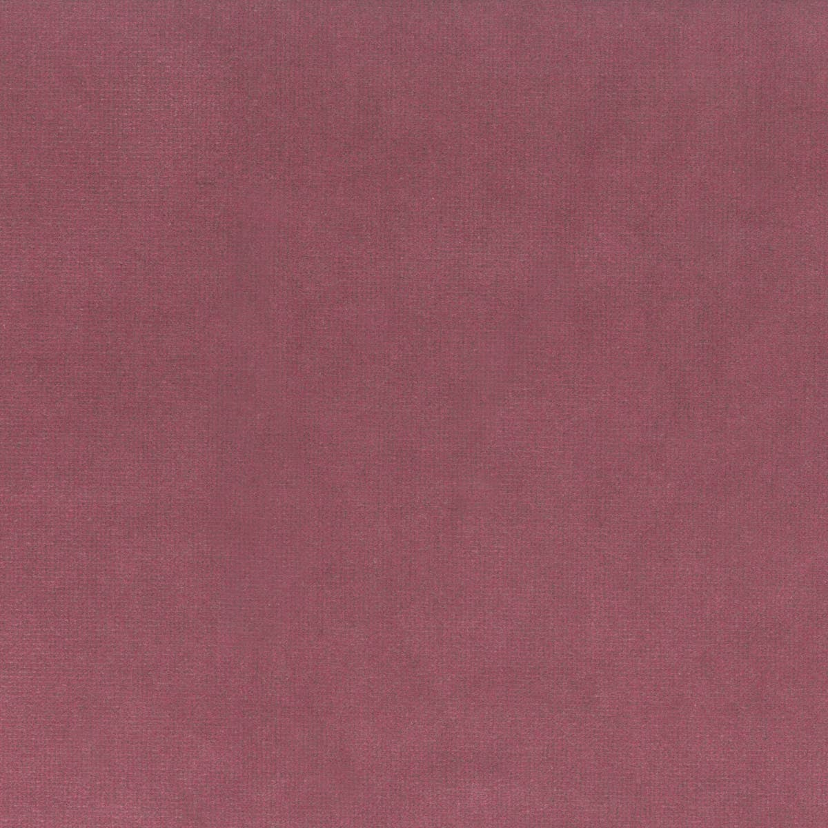 Rubelli Spritz fabric - Rosa