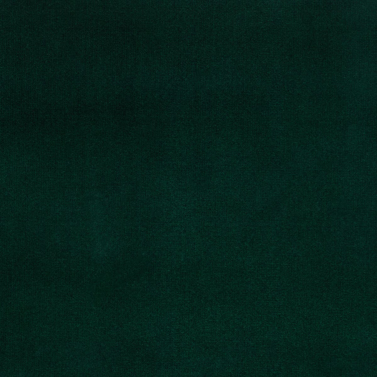 Rubelli Spritz fabric - Reseda