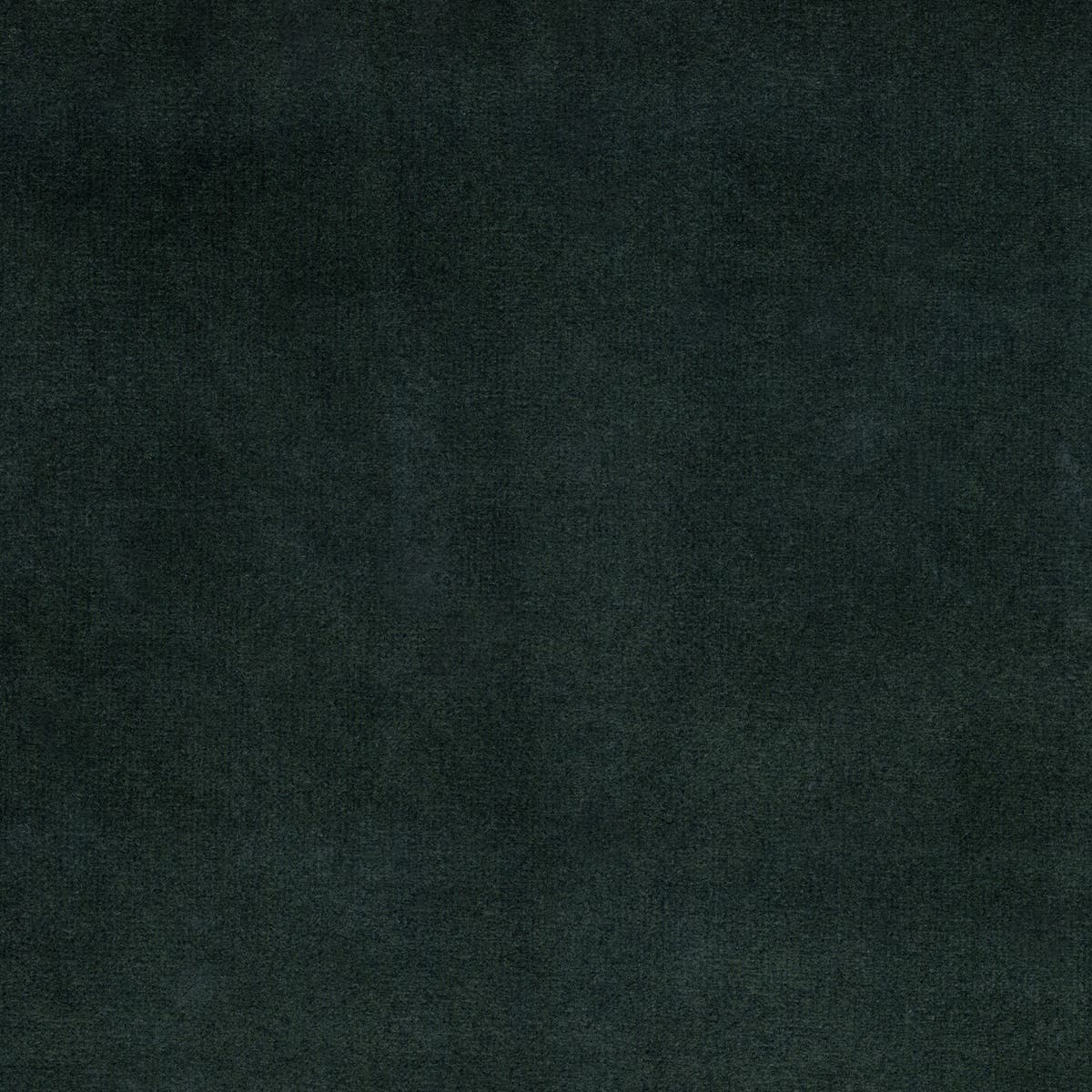 Rubelli Spritz fabric - Lichene