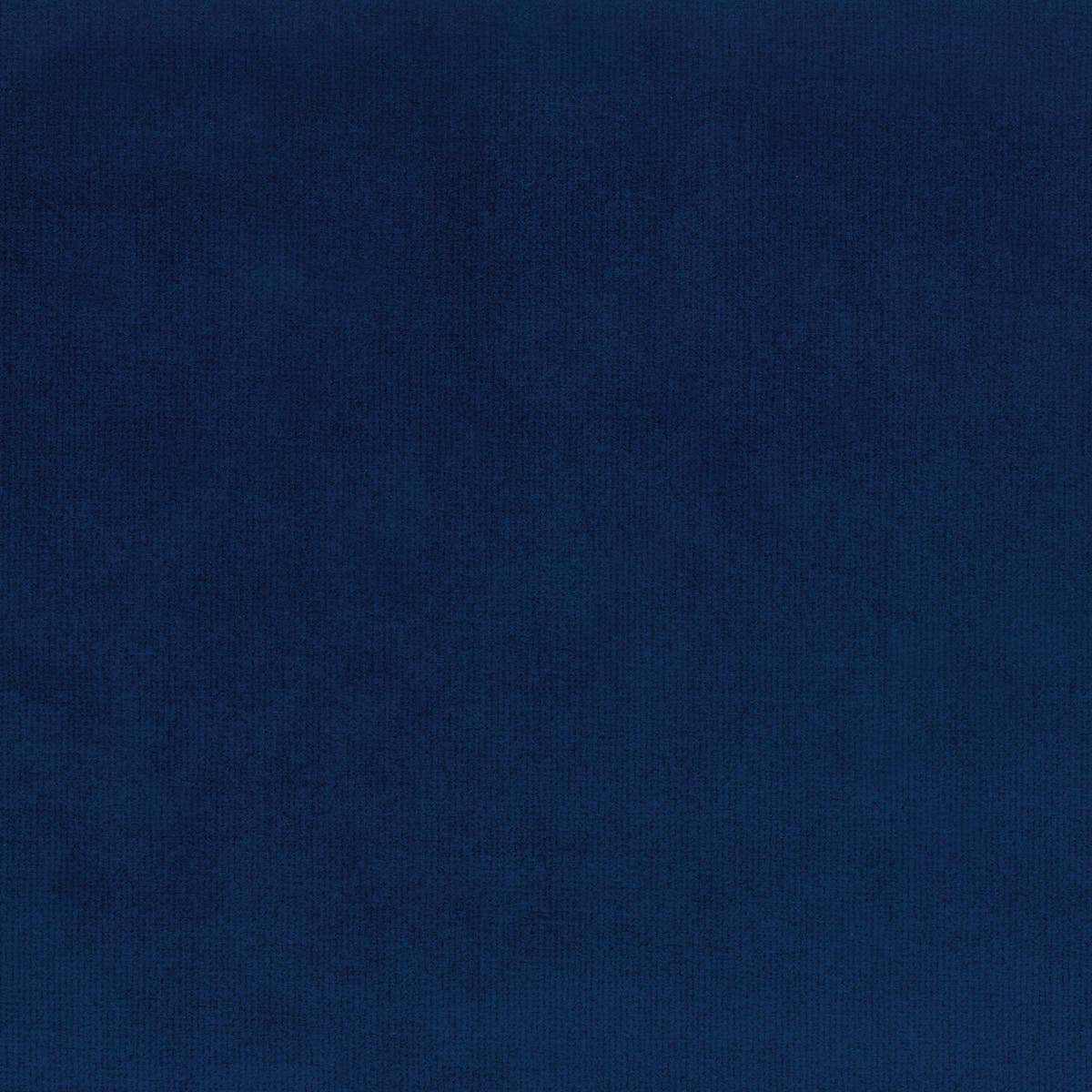 Rubelli Spritz fabric - Bluette