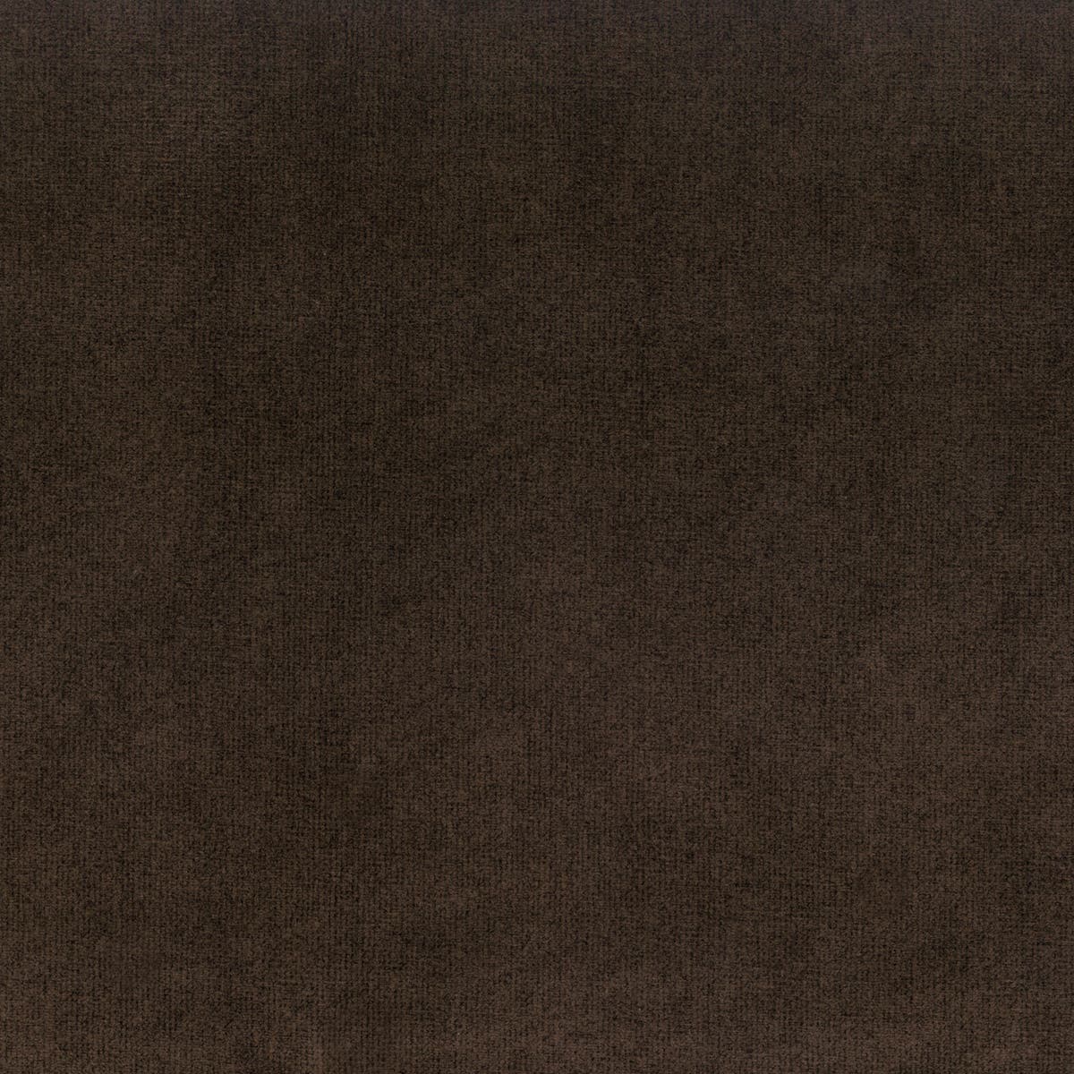 Rubelli Spritz fabric - Castagna