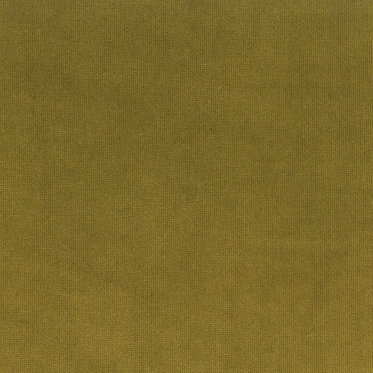 Rubelli Spritz fabric - Oro