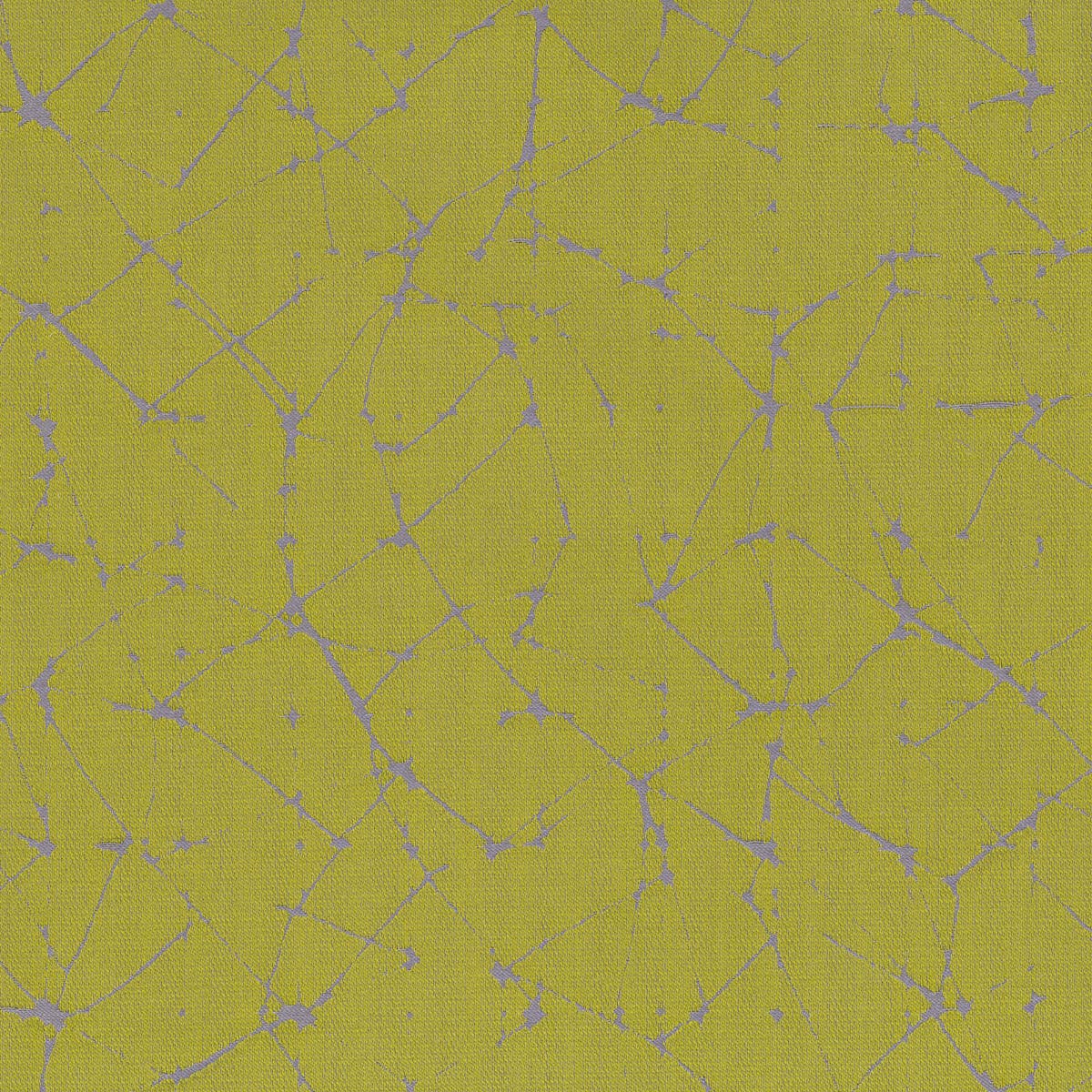 Rubelli Vermeer fabric - Alga