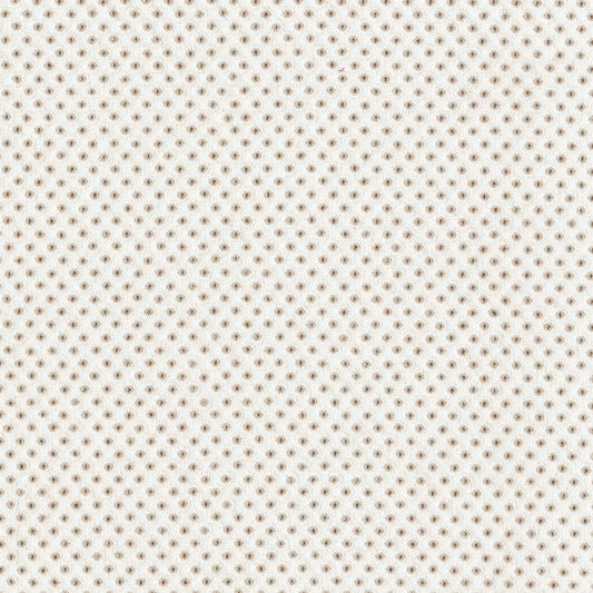 Rubelli Taidai fabric - Avorio