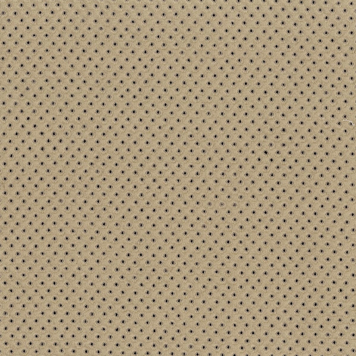Rubelli Taidai fabric - Beige