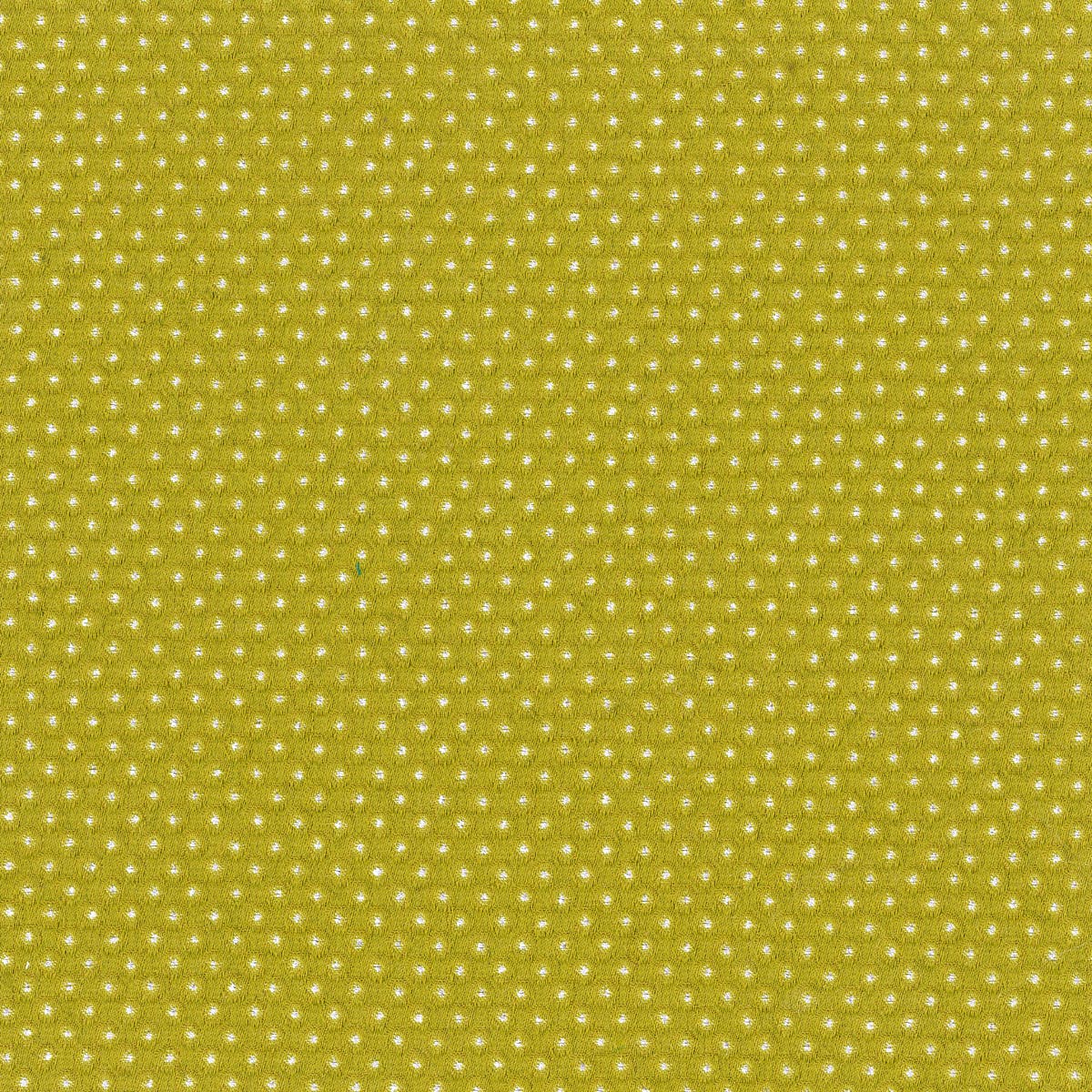 Rubelli Taidai fabric - Alga