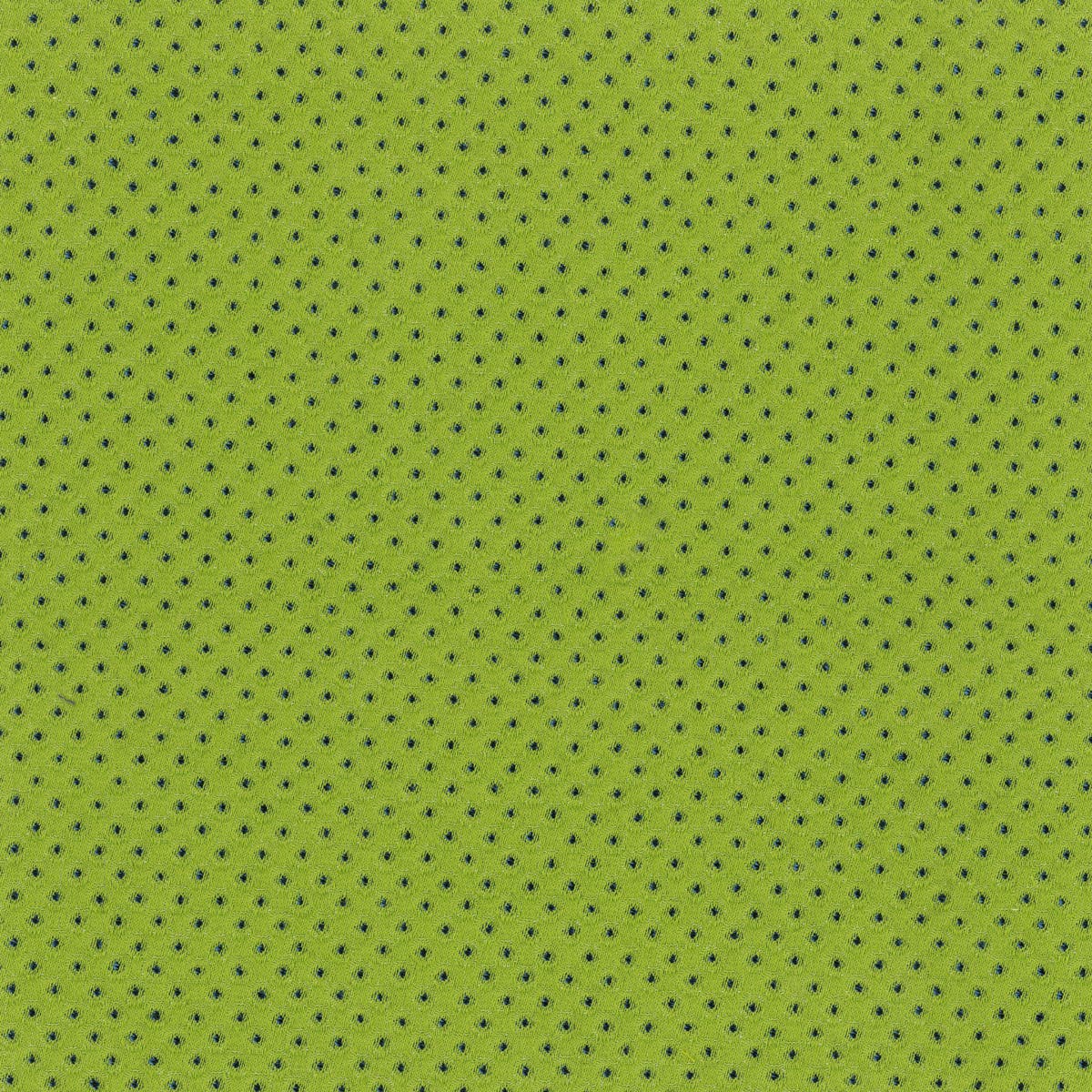 Rubelli Taidai fabric - Erba