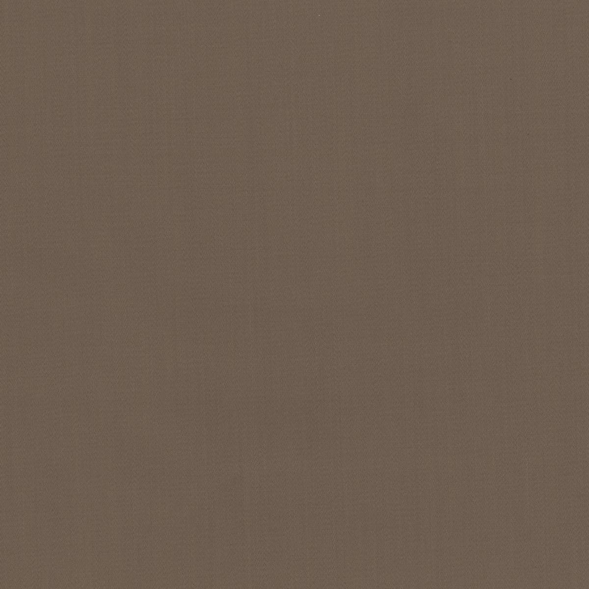 Rubelli Savile Row fabric - Castoro