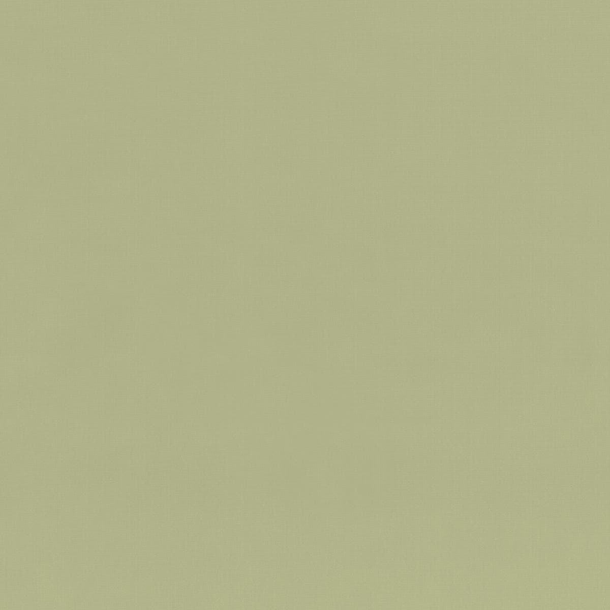 Rubelli Shogun fabric - Salice