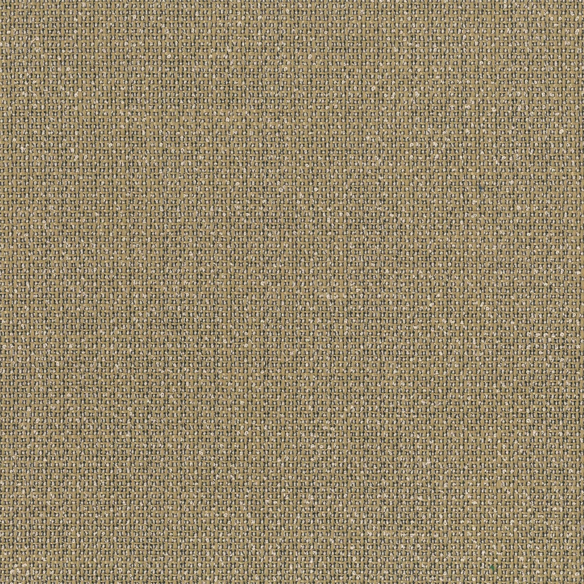 Rubelli Karl fabric - Legno