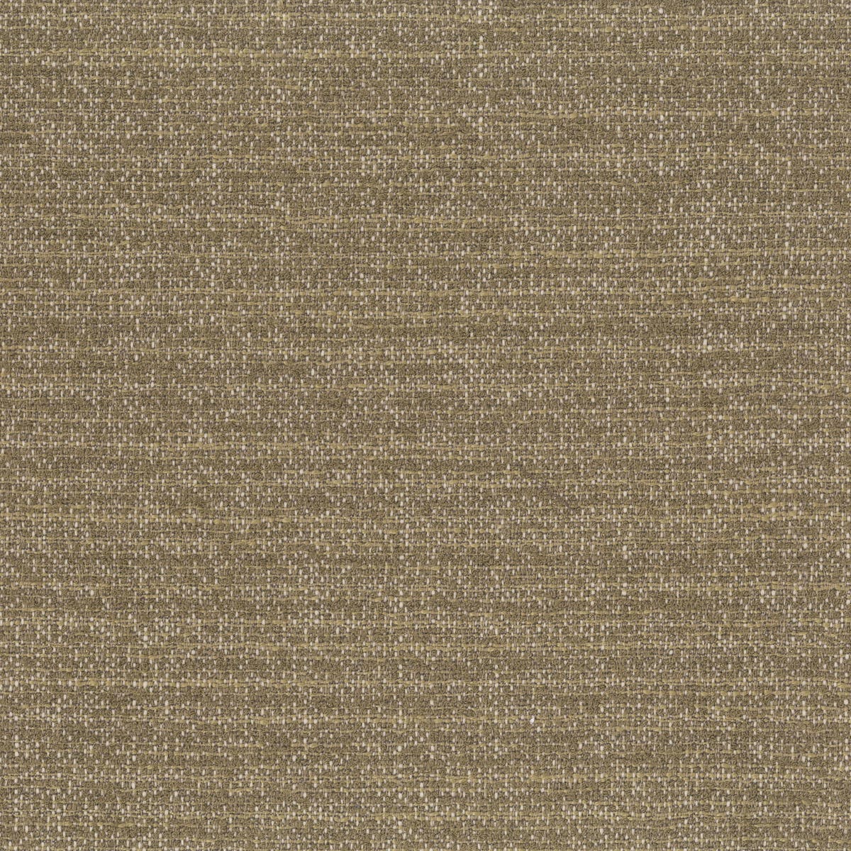 Rubelli Coco fabric - Legno