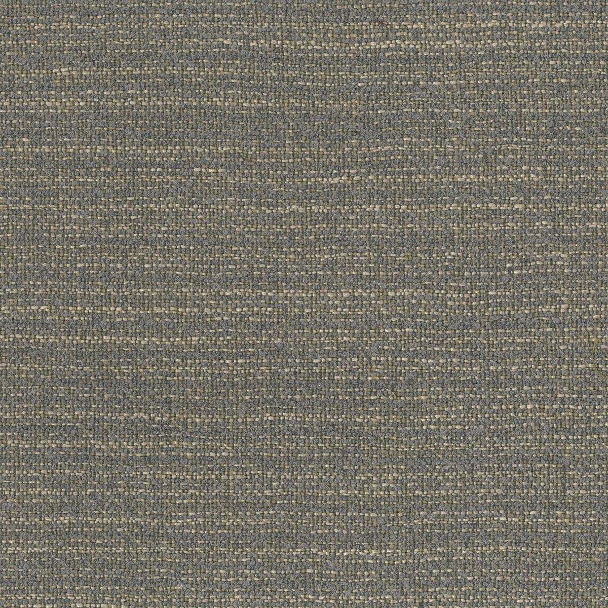 Rubelli Coco fabric - Argento