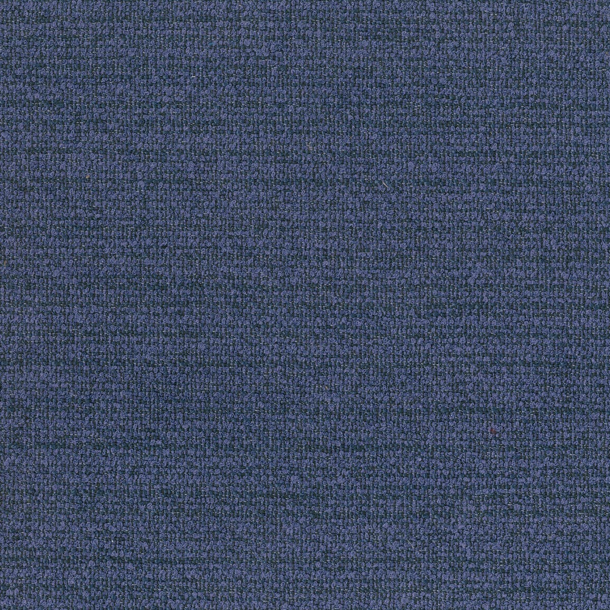 Rubelli Coco fabric - Pervinca