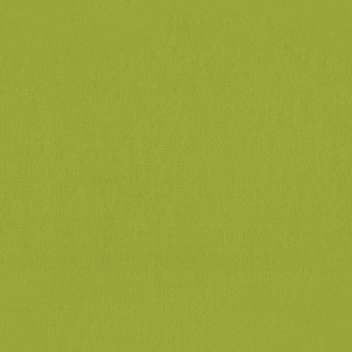 Rubelli Vivienne fabric - Erba