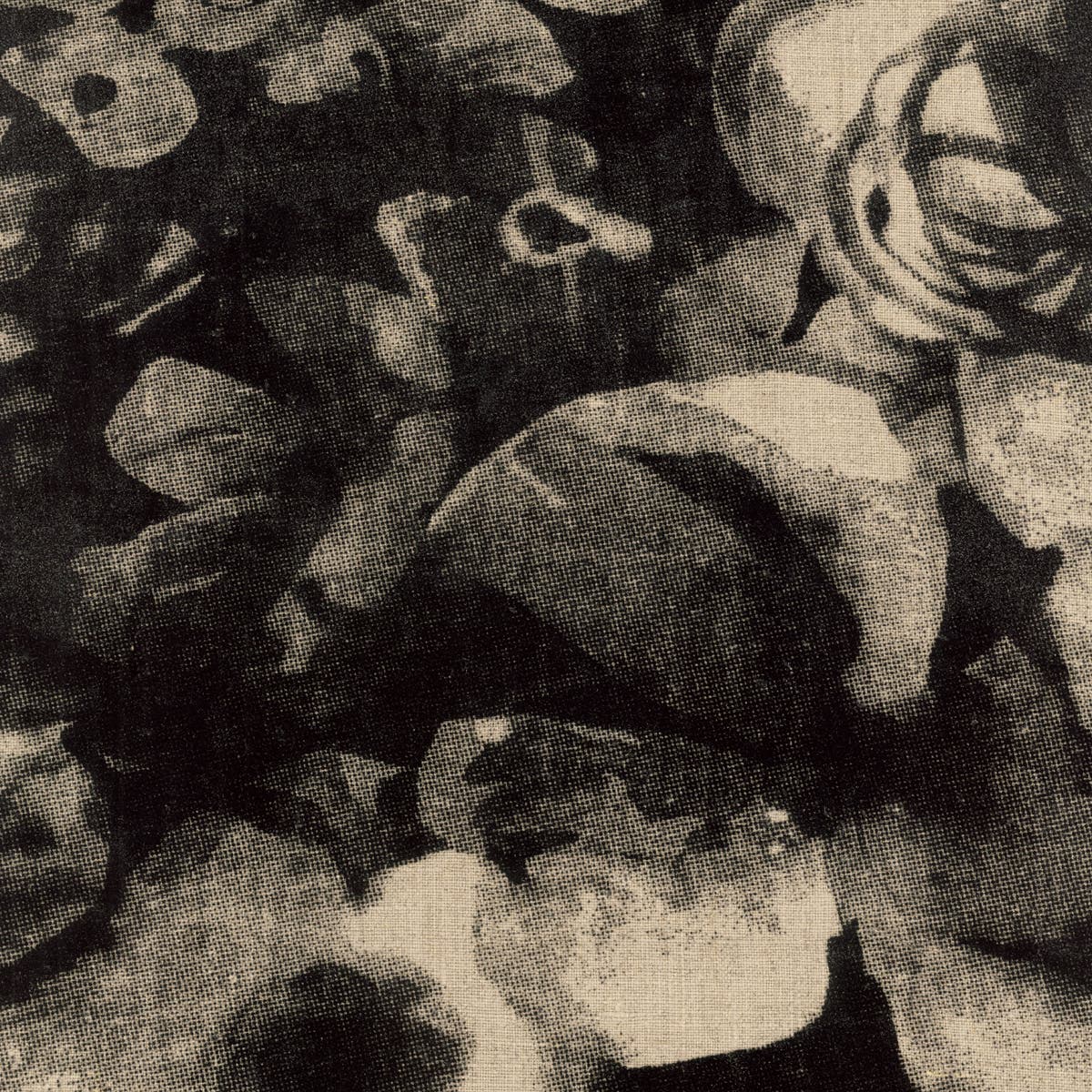 Rubelli Petunia fabric - Nero